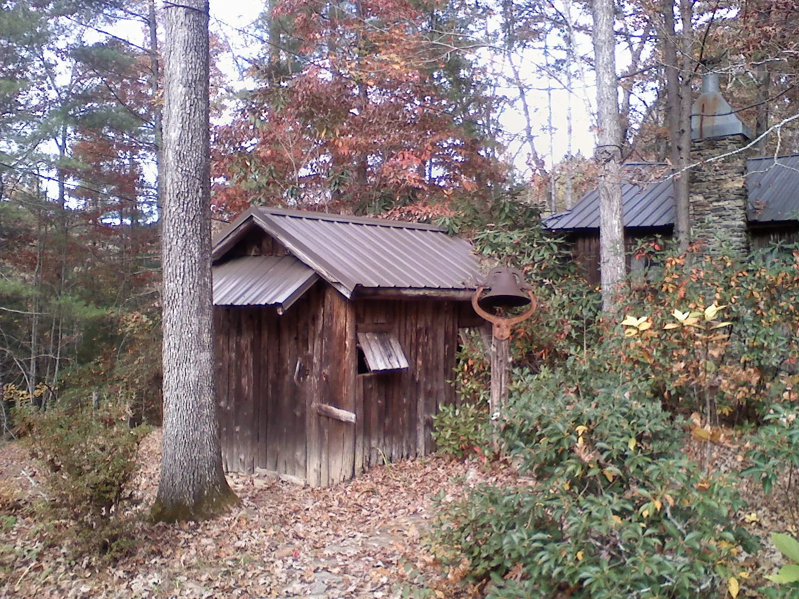 Small metal roof on a rough sawn shed in the woods in Wilbraham